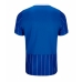 Brighton Pascal Gross #13 Hemmatröja 2026-27 Kortärmad